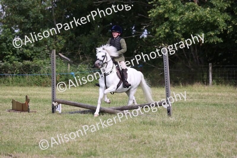 20260614-0718 - Class 20 - Beginners Working Hunter Pony