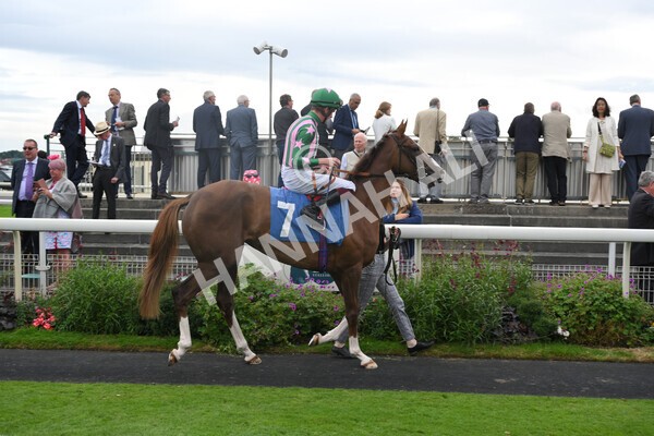 yr19082021r6-3 - Race 6 4.45pm British EBF & Sir Henry Cecil Galtres Stakes