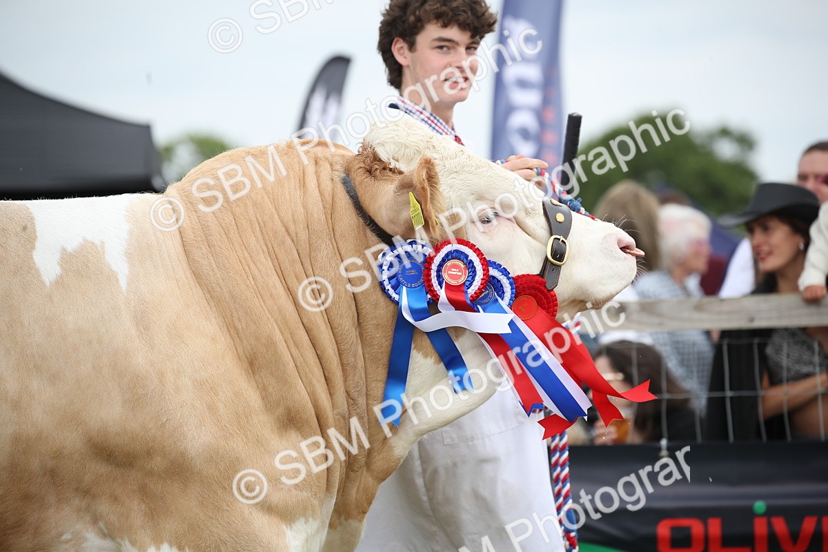 SBM_07869 - Grand Parade