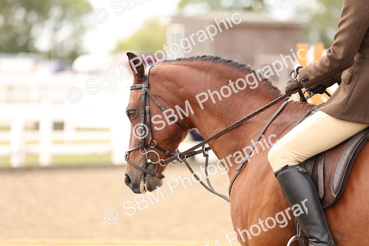 SBM_05152 - Class 56a -  Style & Performance - 50cm (15-19)