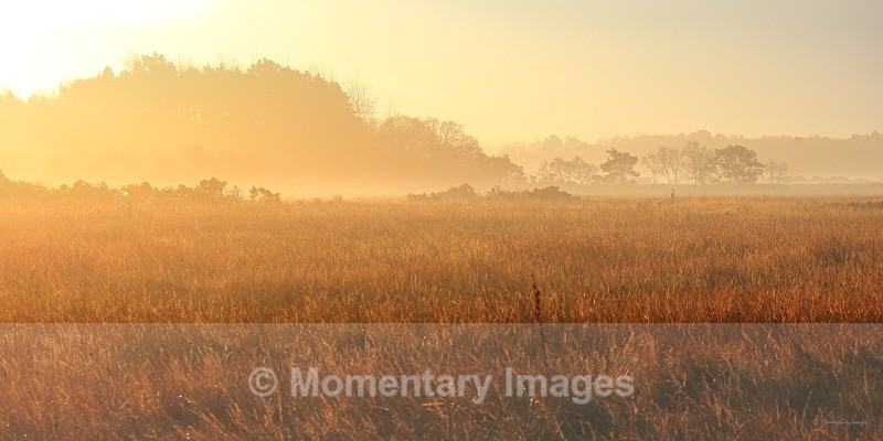 misty glow - Sunrise to sunset gallery