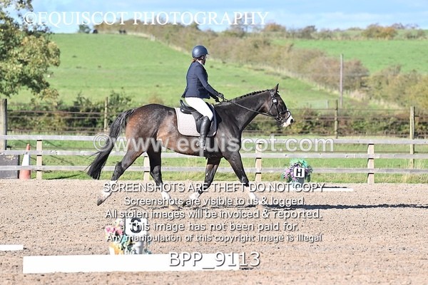 BPP_9113 - SHORT ARENA