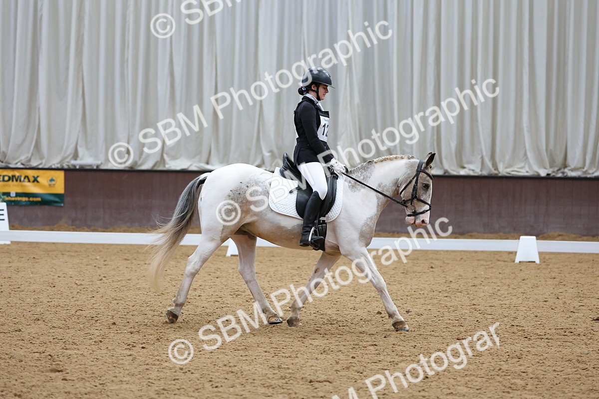 SBM_002662 - Novice