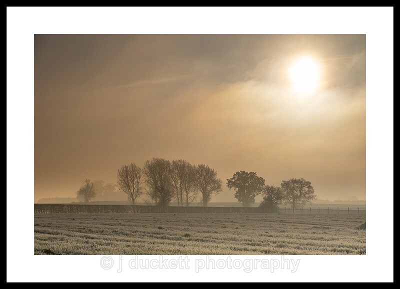 Winter Sun Fine art photography by The Silent Photographer