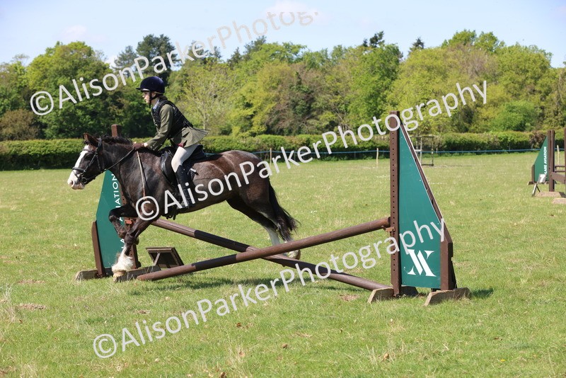 20250427-2583 - Class 20 - Working Hunter Ponies