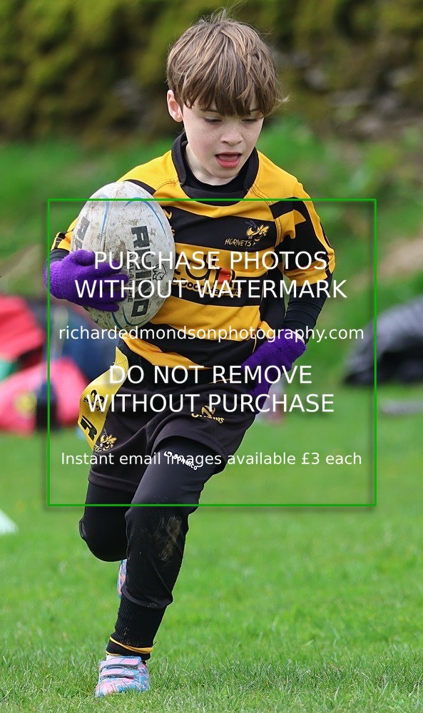 533A5277 - Kendal Rugby Under 7's (12/4/26)