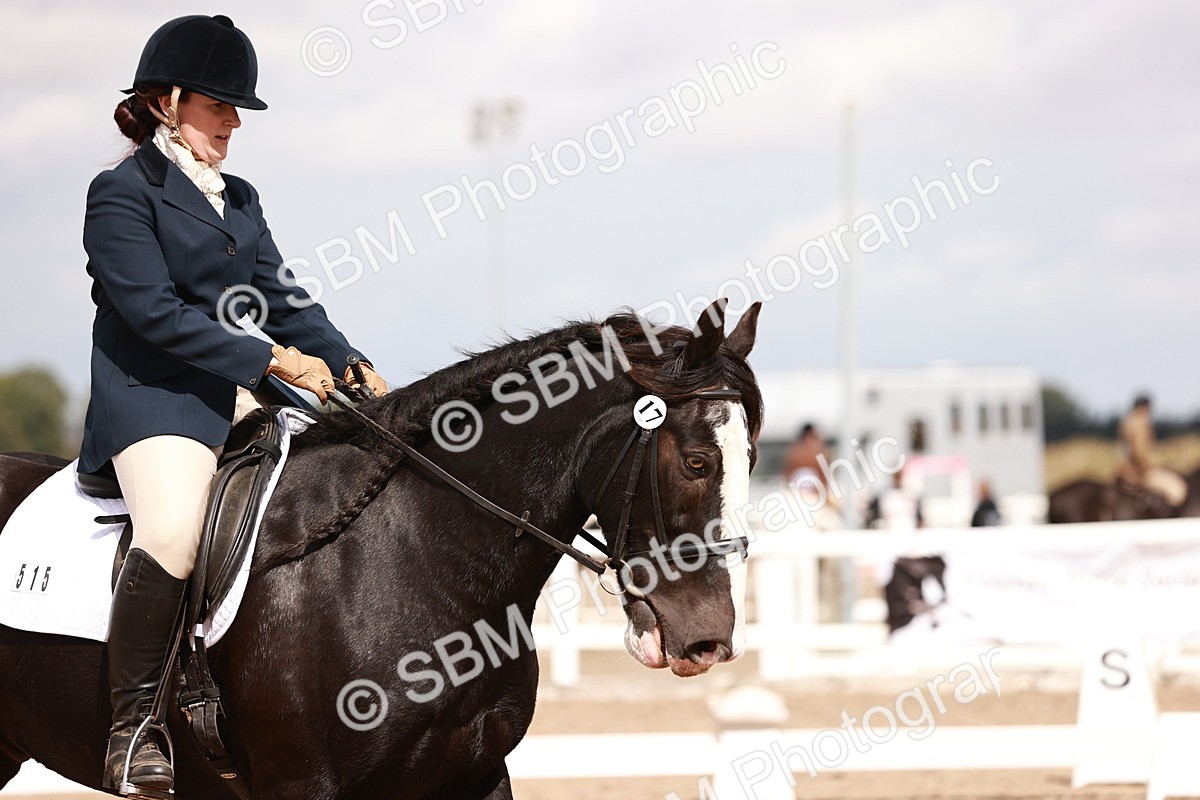 SBM_06215 - Class 37 - Novice 5