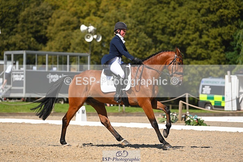 230526-160554-07264 - 253-MY_EASTWOOD_BRIGHTSIDE-Darcy_Zander-WEDTrotUp+DR