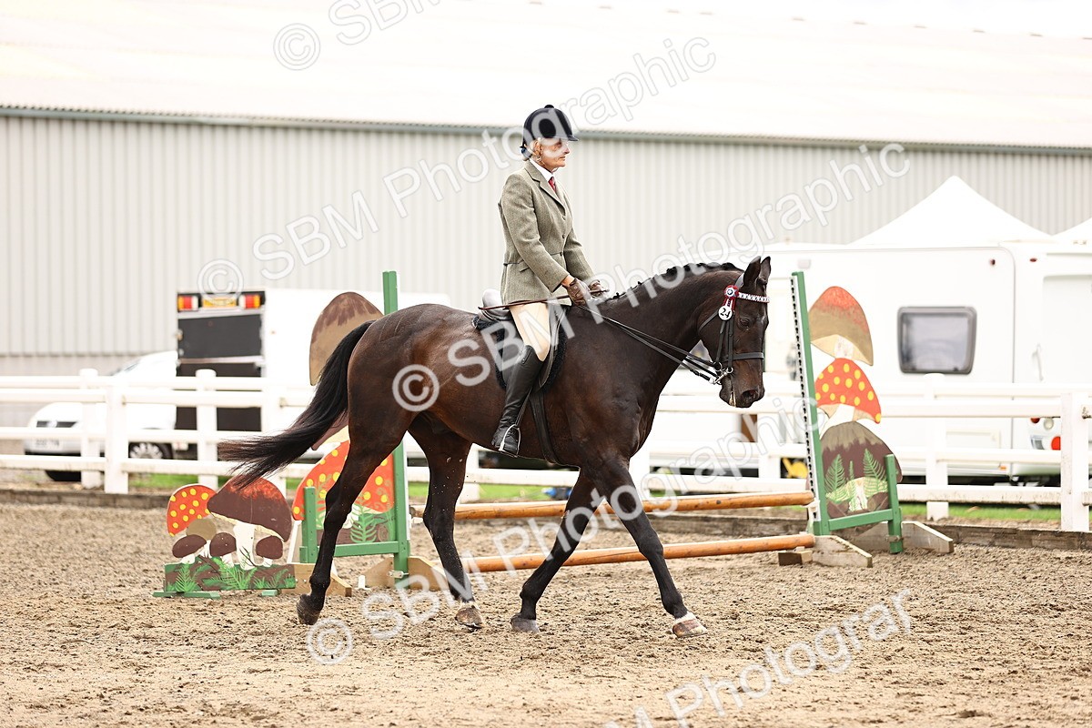 SBM_00548 - Class 53 - Ridden Competition Horse Pony