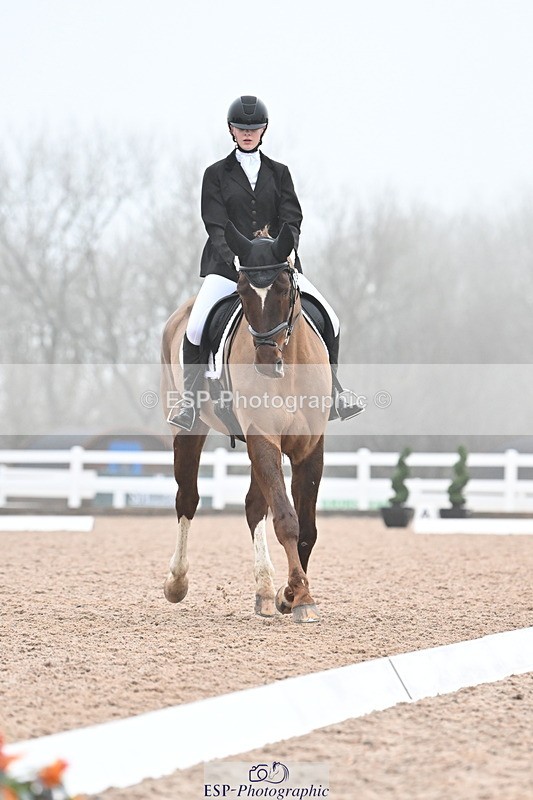 240217A-095218-00463 - 123-Daisy.Hedges-Felicia.v