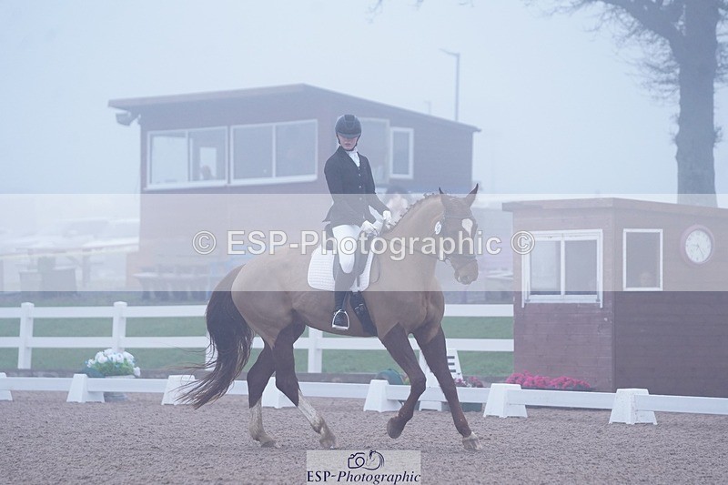 250215-094528-02695 - 142-Daisy.Hedges-Felicia.v