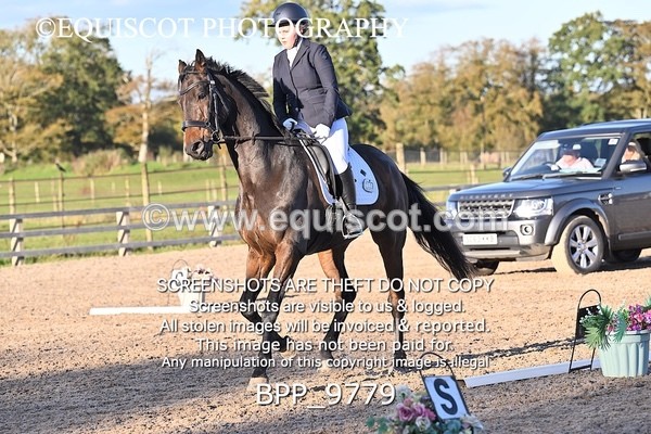 BPP_9779 - LONG ARENA