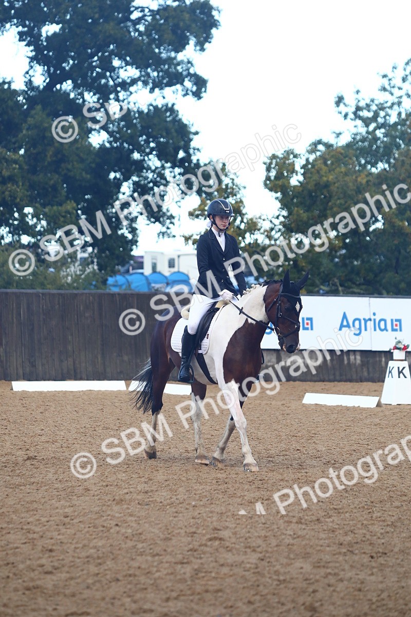 SBM_38877 - D21 - Junior Championship Intro 1