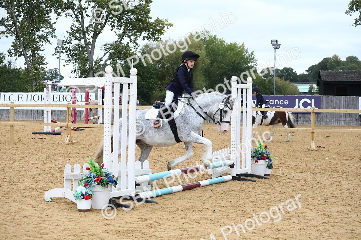 SBM_68347 - J3b - Mini Tour Junior Pony 40cm Championship