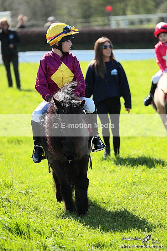 Shet 060426 222 - Shetland Pony Racing Paxford Races Easter Mon 06/04/26