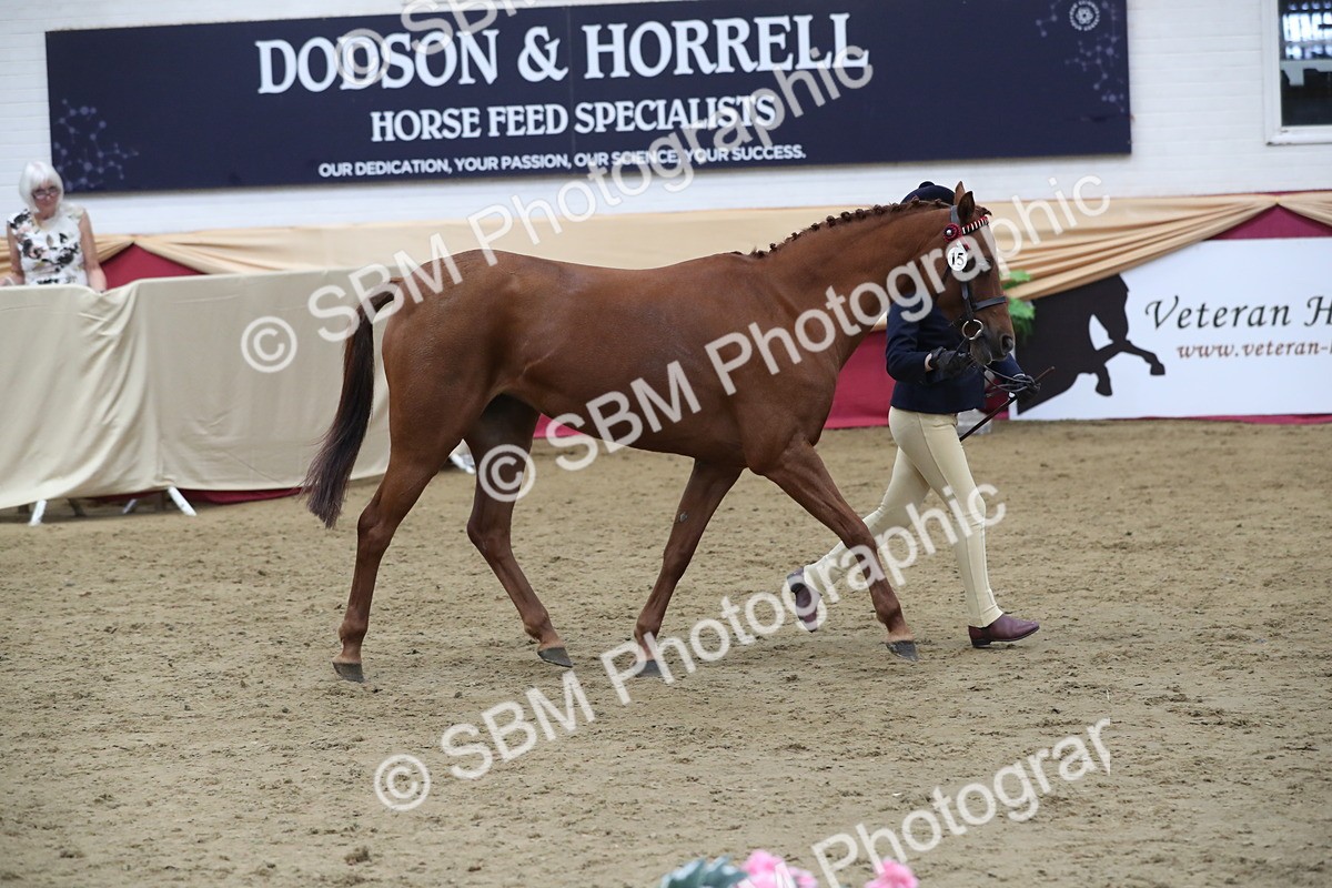 SBM_06435 - Class 9R Regional- IH Pre Vet