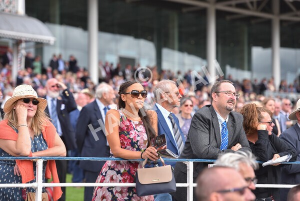 yr17082022r5-31 - Race 5 4.10pm Sky Bet Stayers Stakes