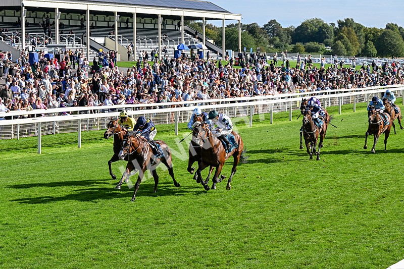 060926-Race 5-Extremely Zain-0316 - Race 5 3.50pm Starman At Tally Ho Stud Garrowby Stakes