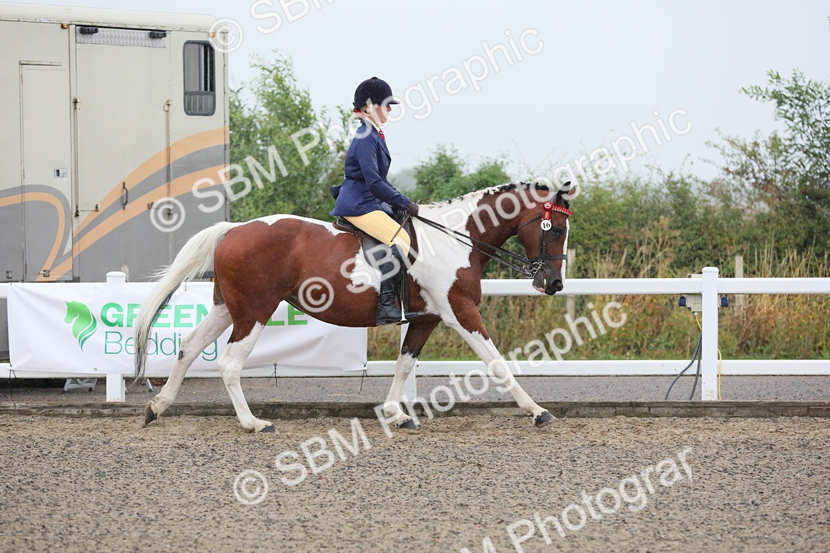 SBM_19865 - Class 801 - Ridden Veteran