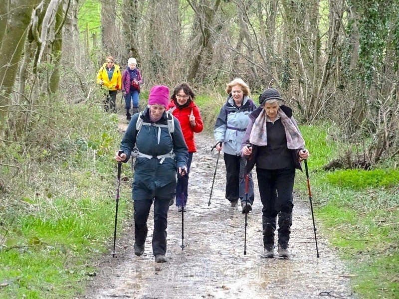 030  Leaving Carlsmoor onto  the Ripon Rowel for Belford - York Minster Walkers Collection 2024