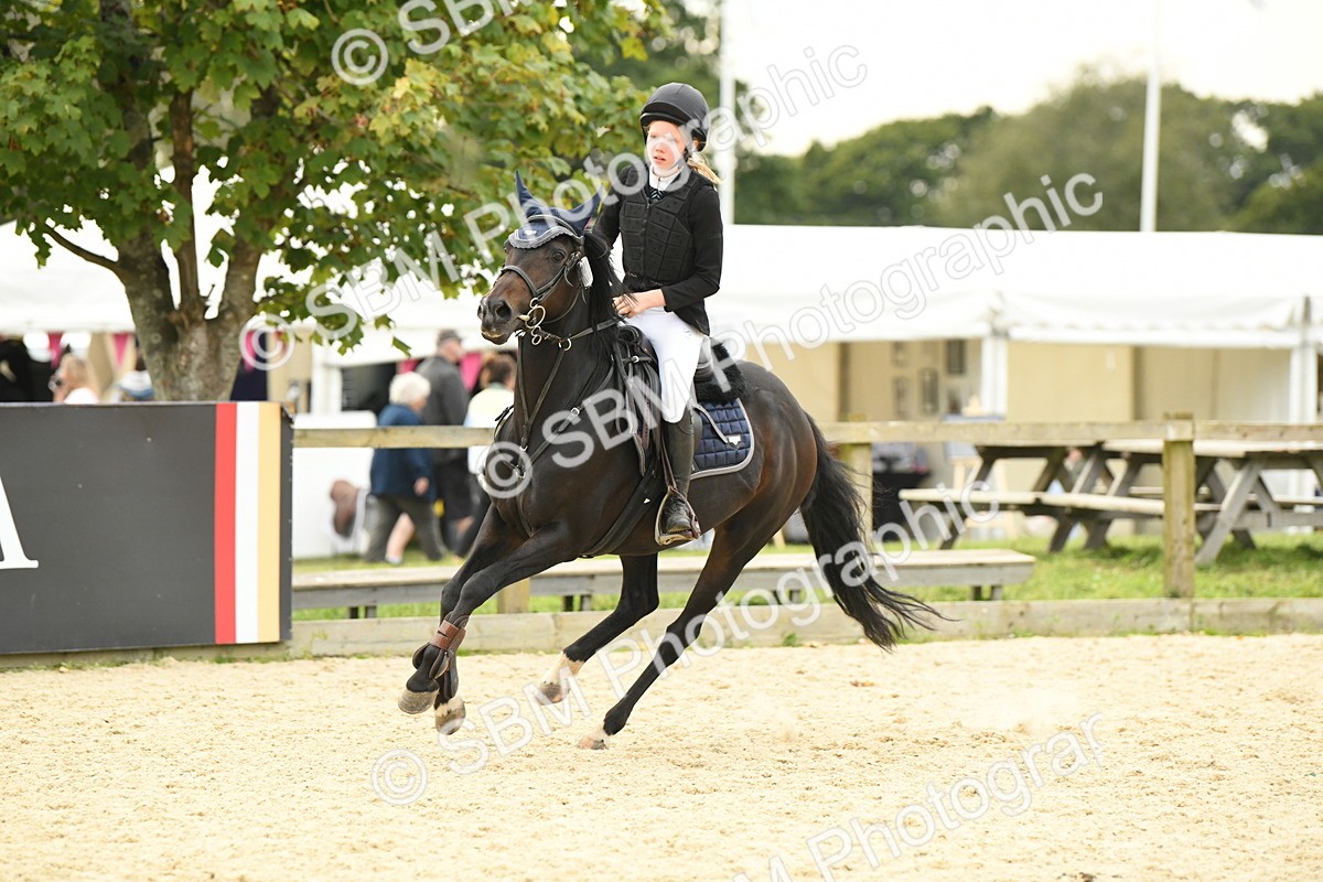 SBM_75762 - Supreme Championship