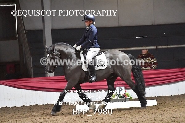 BPP_7980 - ELEM TEST 6