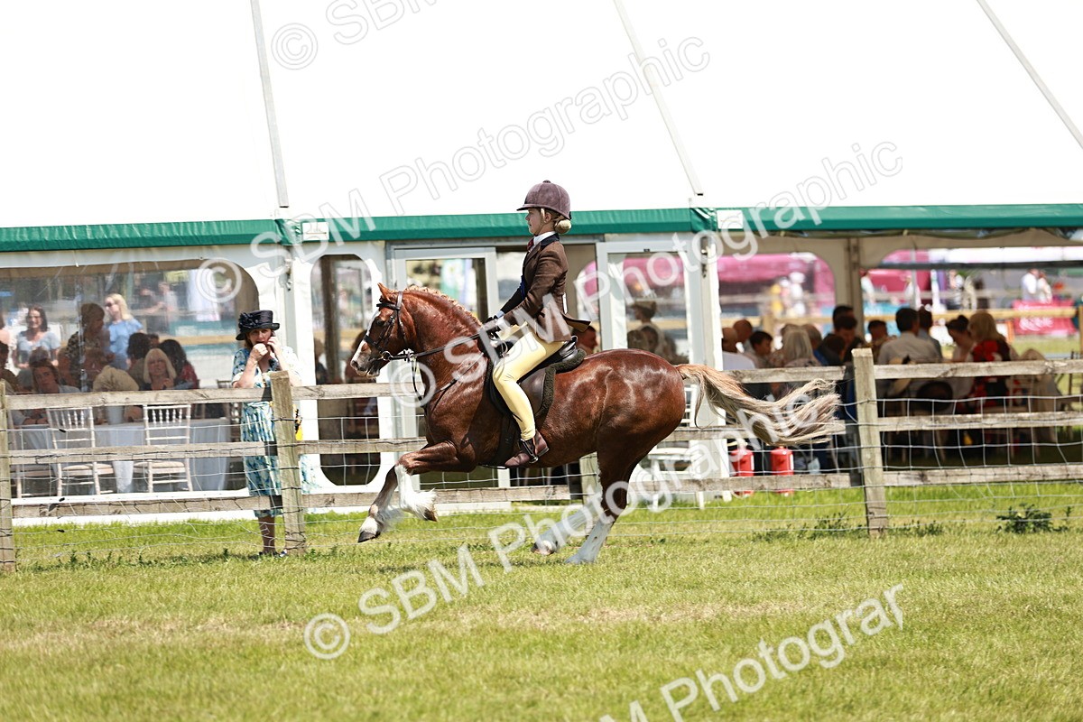 SBM_15796 - Class 108-109 - BSPS LIHS Open Gradle & Nursery Stakes