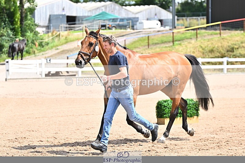 240718A-105242-01046 - Trot Up 11am to 12pm