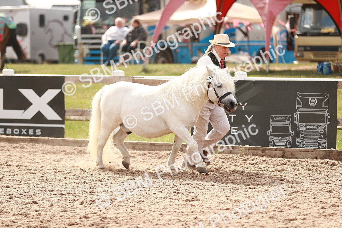 SBM_12419 - Class 207 IH M&M