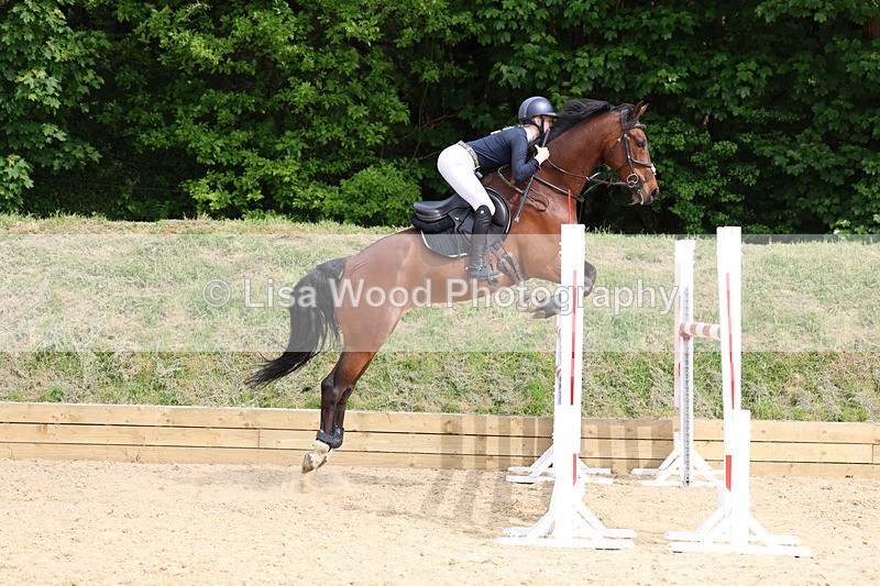 3E7A7702 - Class 8: Senior Foxhunter/1.20 open
