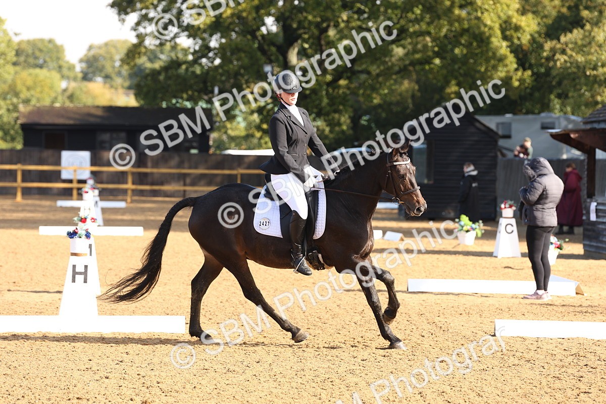SBM_37558 - D18 - Grand Tour Championship Novice 2