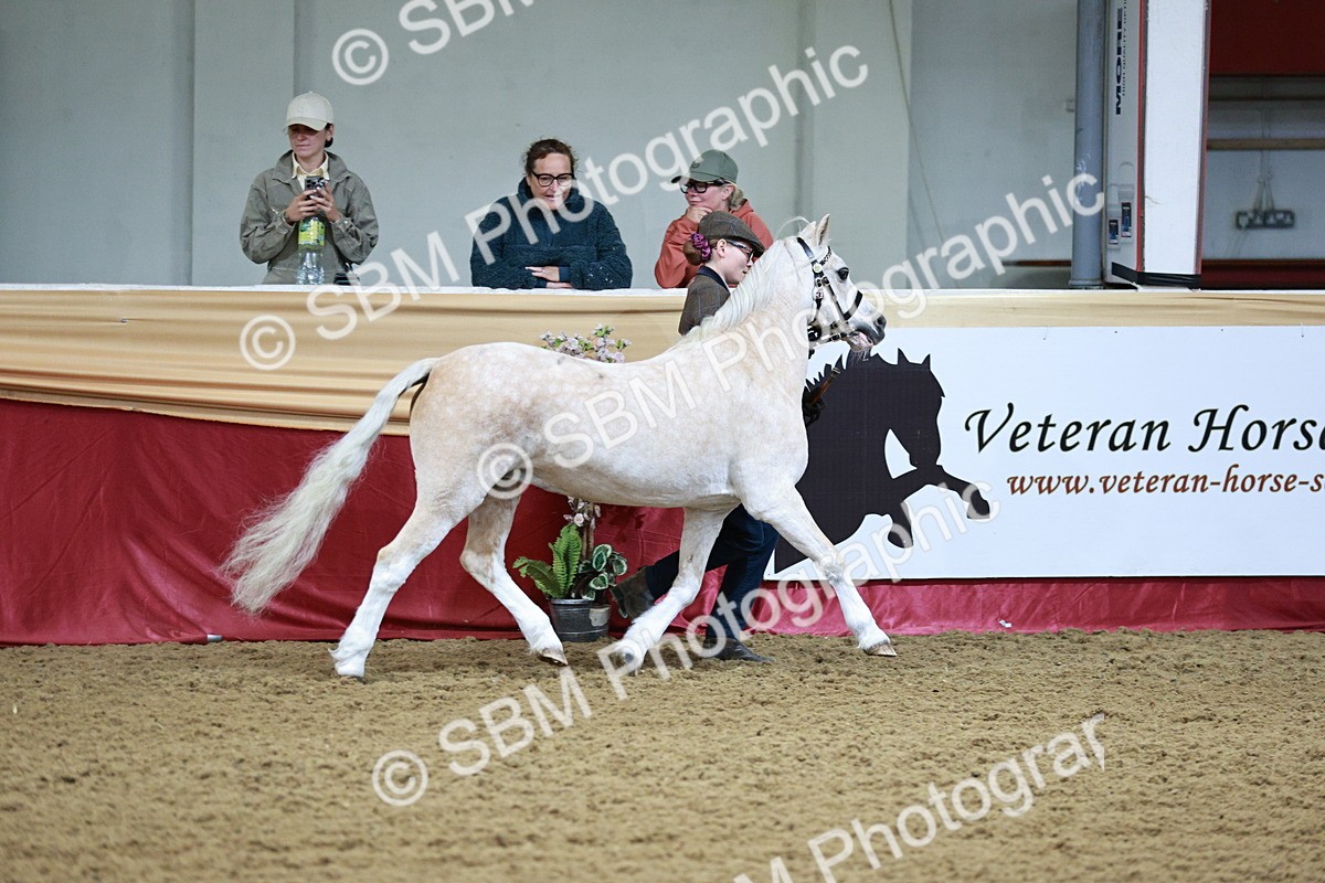 SBM_00149 - Class 1A - Area IH Diamond