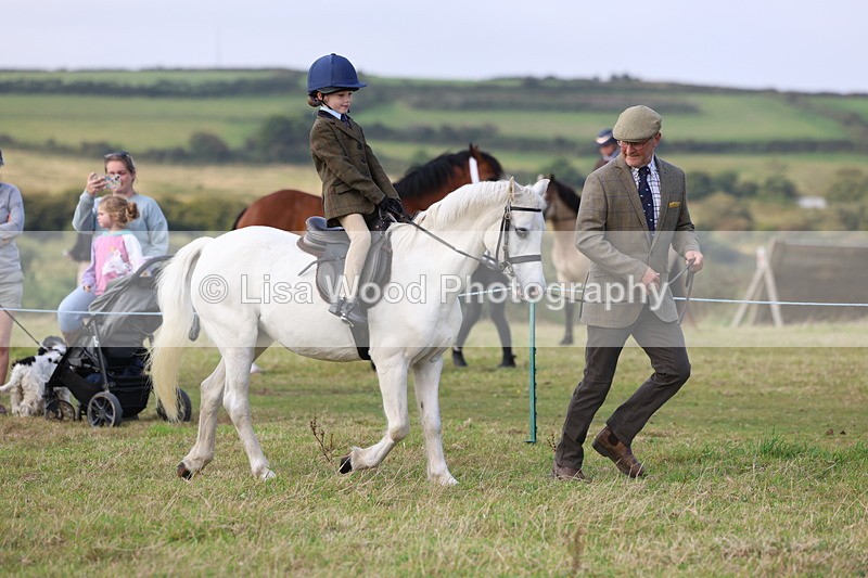 3E7A3476 - Class 2: Lead rein