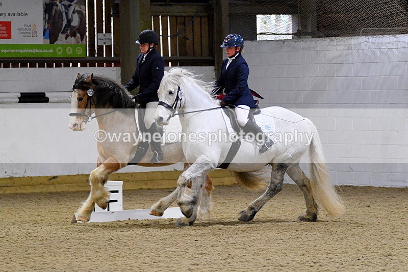 WJ5_2600 - Edited examples