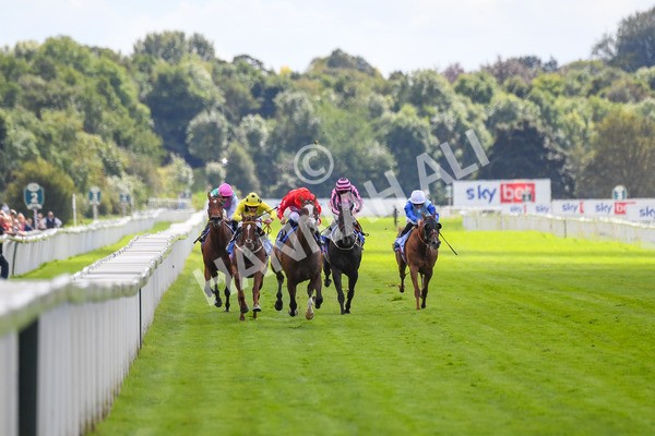 260823-Race 1-Spirit Dancer-0094 - Race 1 Sky Bet And Symphony Group Strensall Stakes