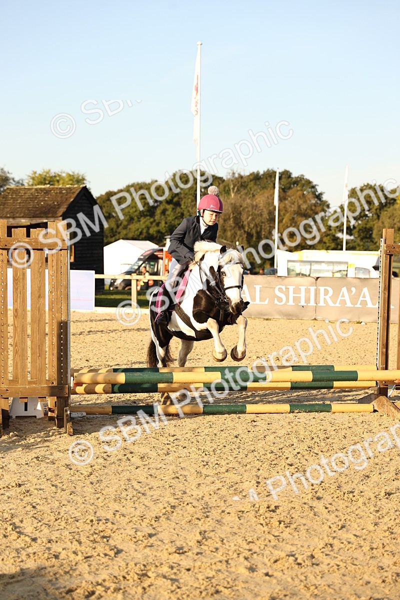 SBM_57125 - J11 - Junior Pony 50cm Championship