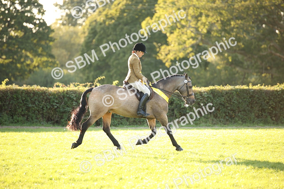 SBM_54491 - S27 - Mature Veteran - Ridden