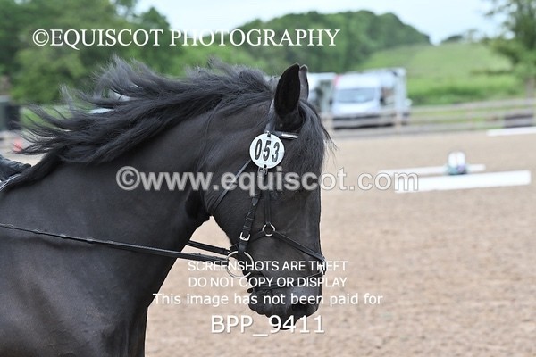 BPP_9411 - 53 L MCKIRDY