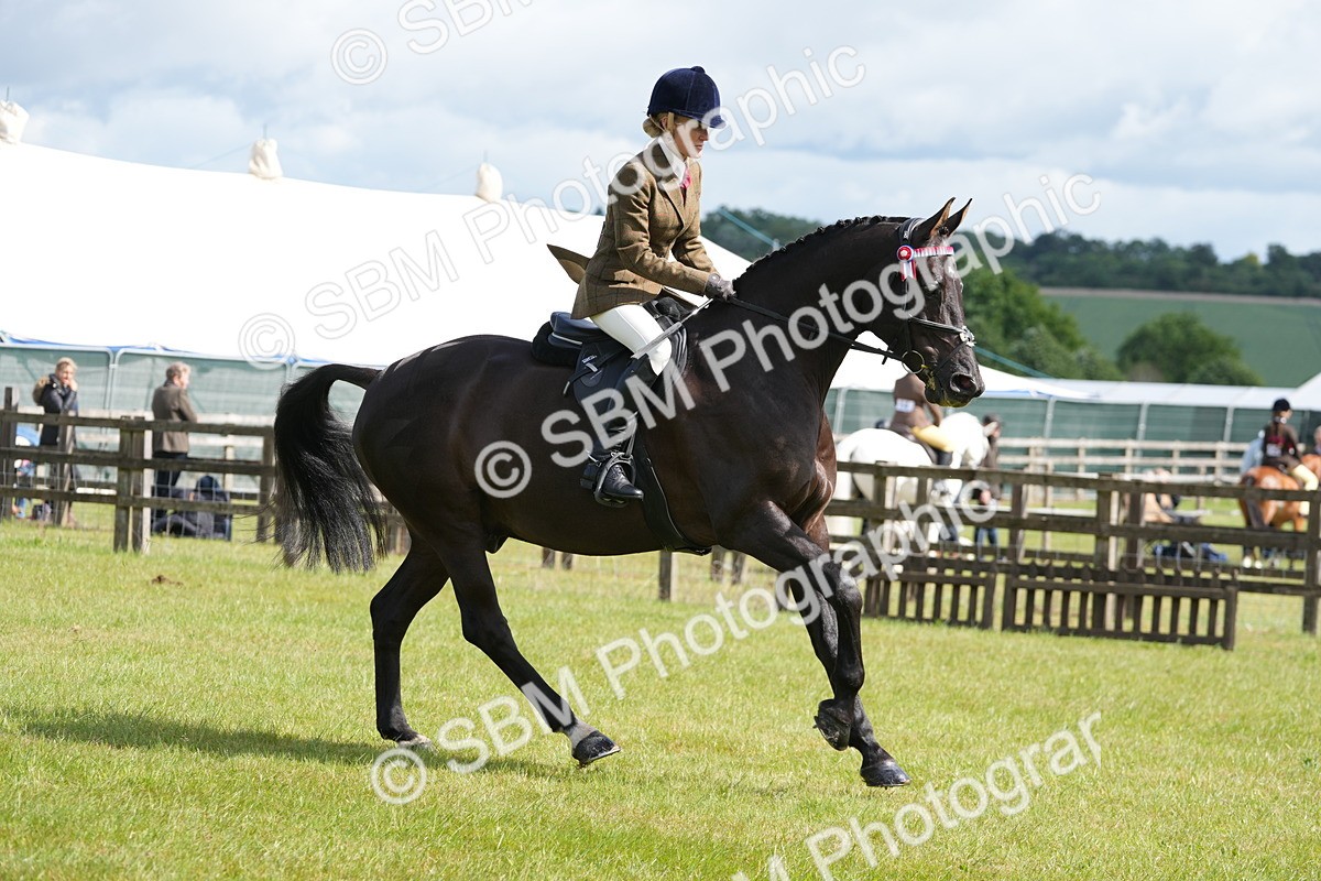 SBM_12880 - Class 99 - RIHS SEIB Working Show Horse