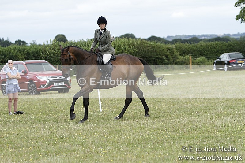 BVR160717-1792 - Ring 3 BVRC Show 16/07/17