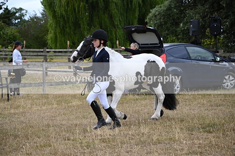 WJ6_8088 - Class 10 Coloured in Hand