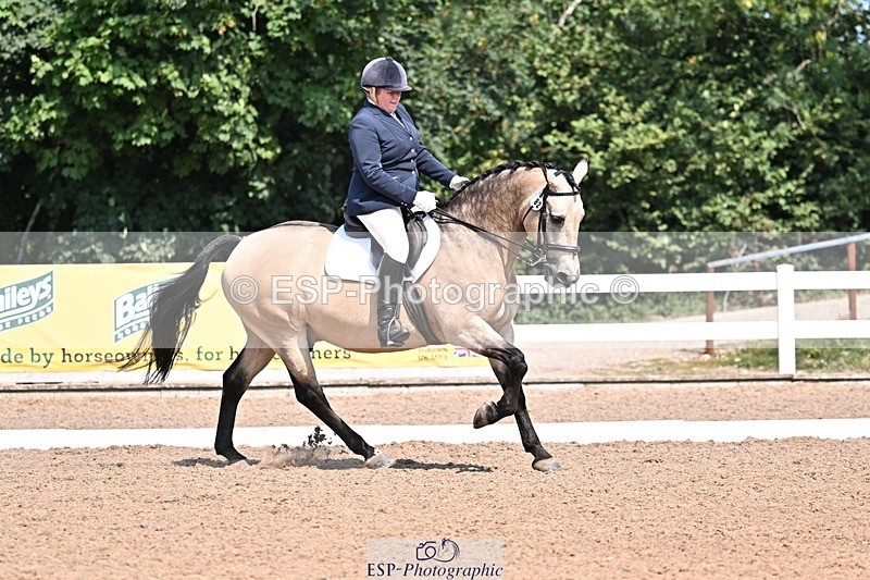 250816-121417-03952 - 082-Sarah.DavisWinston.Classic.Gold