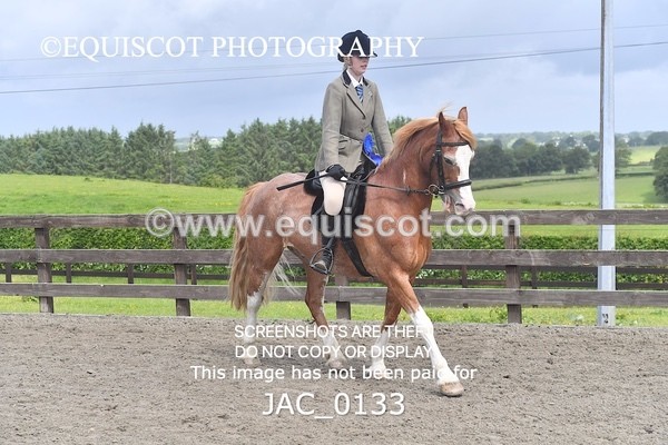 JAC_0133 - CHAMPIONSHIPS AND SUPREME