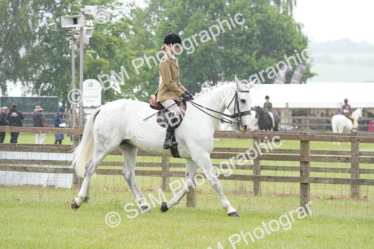 SBM_12643 - Class 97-98 - LIHS BSHA Rising Star Working Show Horse Hunter