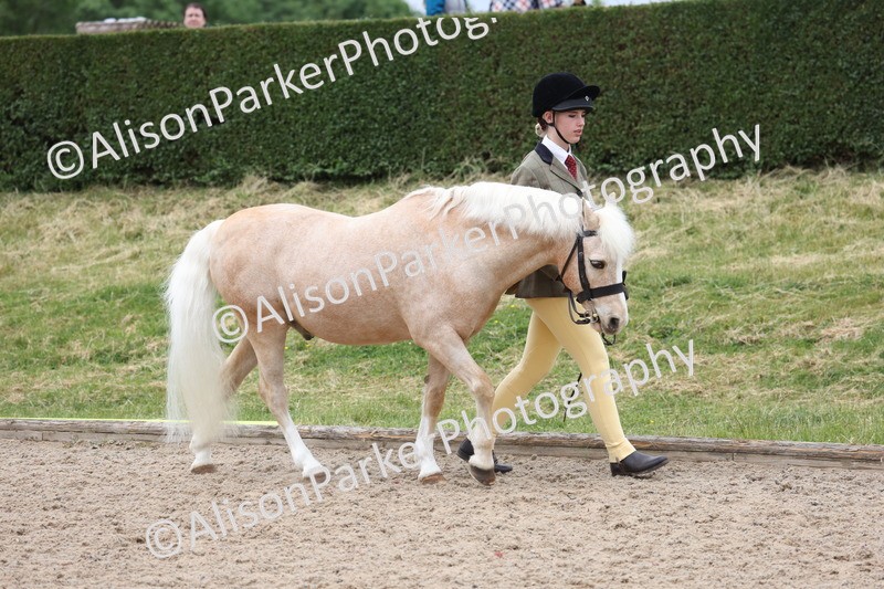 20250524-0613 - Class 7 - Veteran