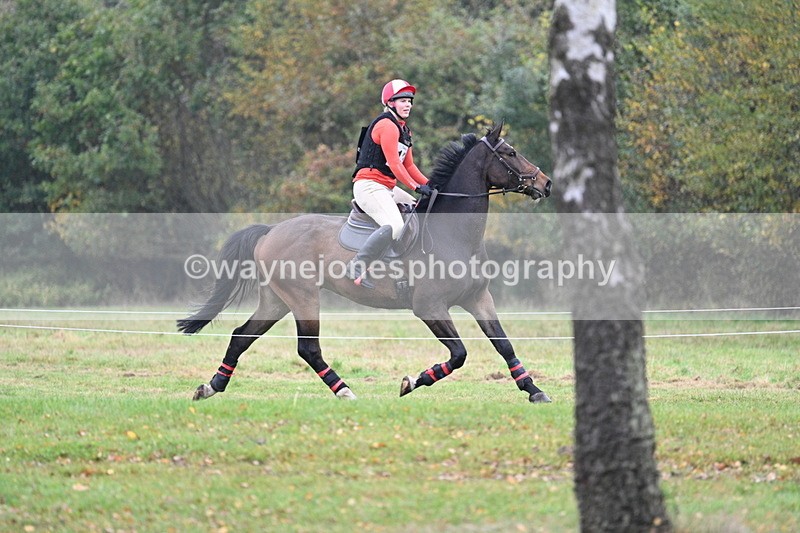 WJ7_0627 - 80cm Cam 2 Water Time 11:08 to 11:28