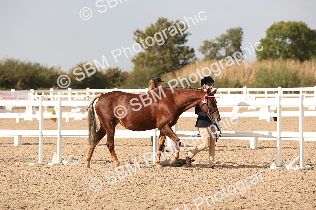 SBM_08128 - Class 27 - IH Competition Horse-Pony