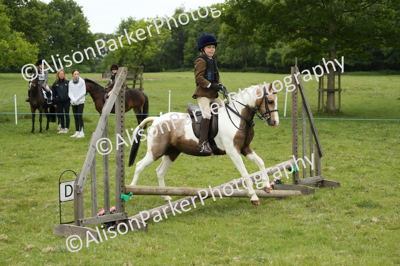 20250517-0415 - Class 20 - Beginners Working Hunter