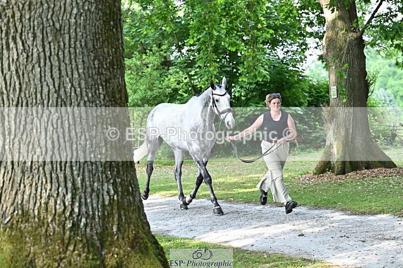 250521A-170107-01468 - C-278-Harriet.Wright-MBF.UP.NORTH