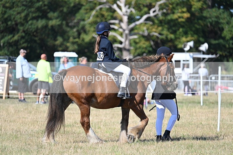 WJ7_3108 - Class 8 Ridden Tack & Turnout
